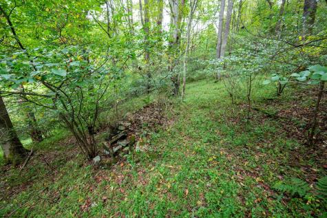 1 Saltlick Road Rowlesburg WV 26425