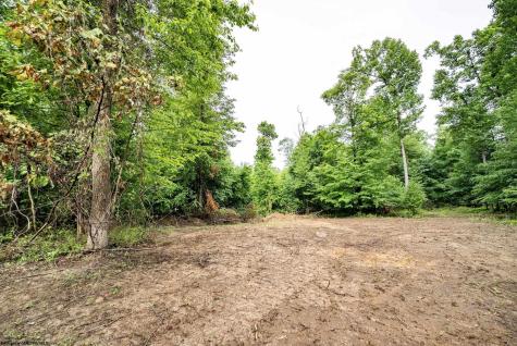 4 Burnt Cabin Road Fairmont WV 26554