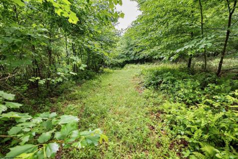 4 Burnt Cabin Road Fairmont WV 26554