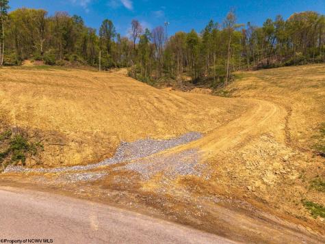 0 Lifes Run Road Jane Lew WV 26378
