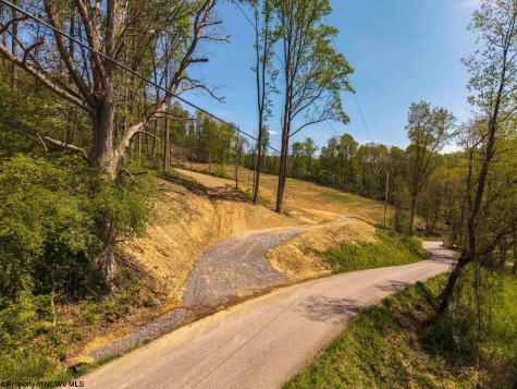0 Lifes Run Road Jane Lew WV 26378