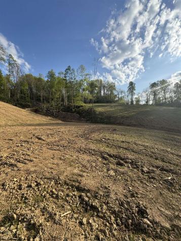 0 Lifes Run Road Jane Lew WV 26378