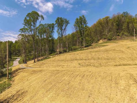 0 Lifes Run Road Jane Lew WV 26378