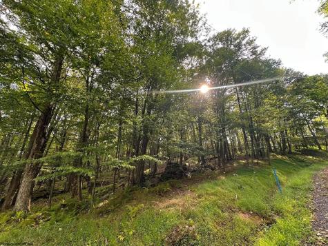 53 Goldenrod Drive Terra Alta WV 26764