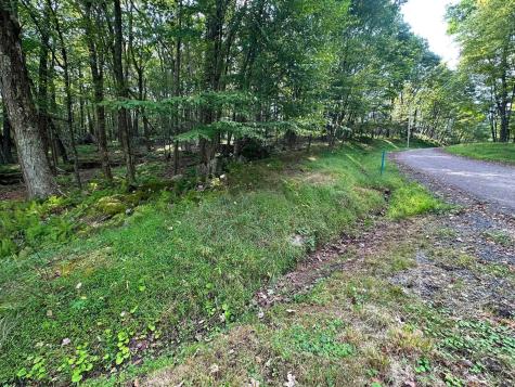 53 Goldenrod Drive Terra Alta WV 26764