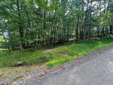 53 Goldenrod Drive Terra Alta WV 26764