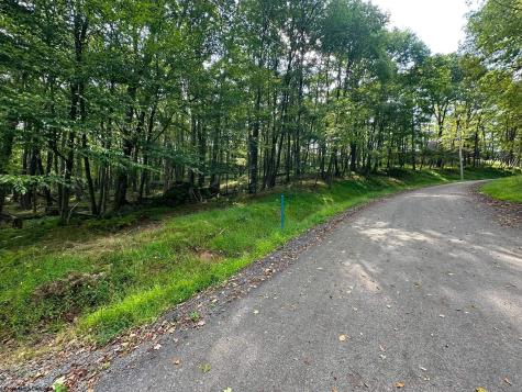 53 Goldenrod Drive Terra Alta WV 26764