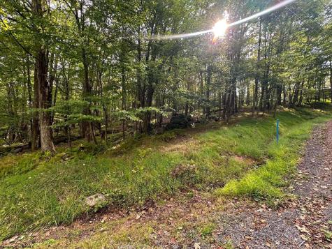 53 Goldenrod Drive Terra Alta WV 26764