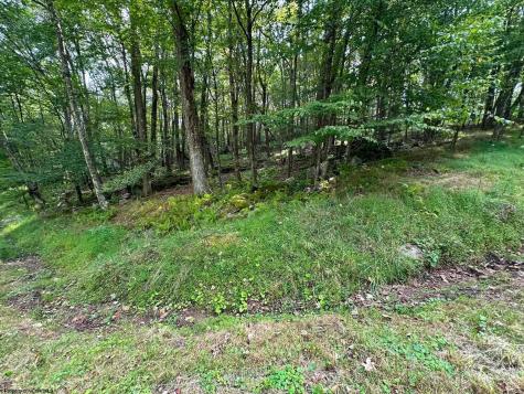53 Goldenrod Drive Terra Alta WV 26764