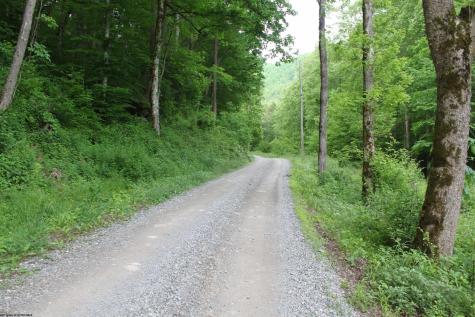 390 Big Sycamore Road Webster Springs WV 26288
