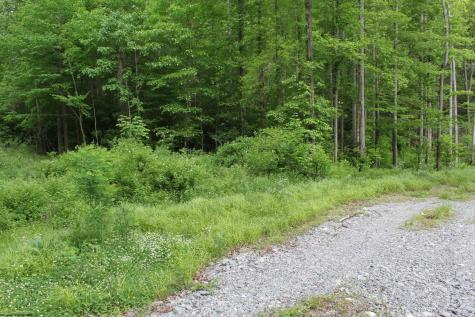 390 Big Sycamore Road Webster Springs WV 26288