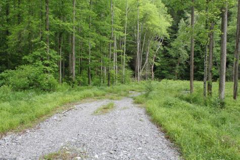 390 Big Sycamore Road Webster Springs WV 26288