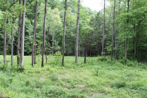 390 Big Sycamore Road Webster Springs WV 26288