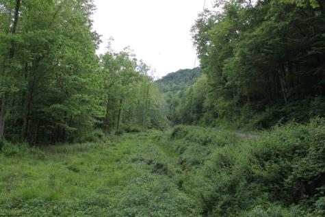 390 Big Sycamore Road Webster Springs WV 26288