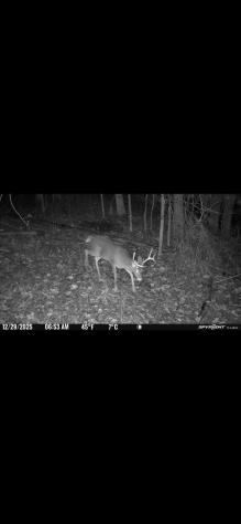 390 Big Sycamore Road Webster Springs WV 26288