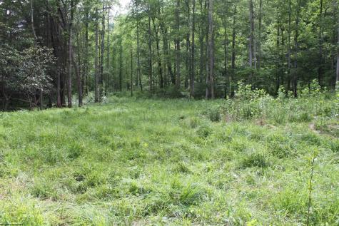 390 Big Sycamore Road Webster Springs WV 26288