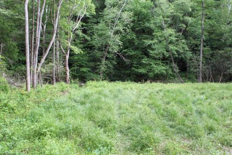 390 Big Sycamore Road Webster Springs WV 26288