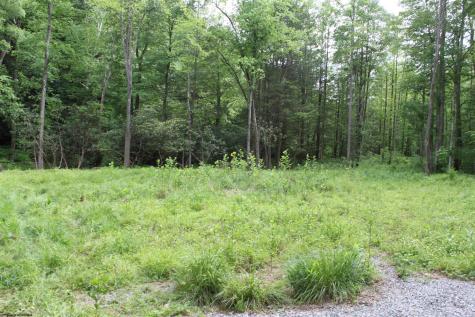 390 Big Sycamore Road Webster Springs WV 26288