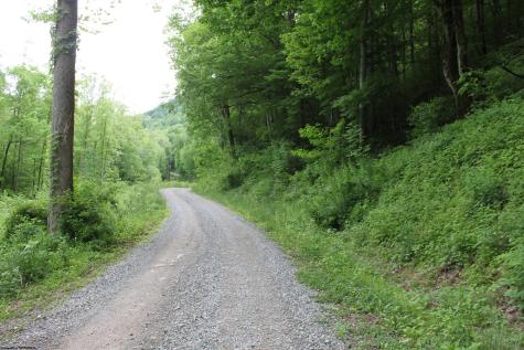 390 Big Sycamore Road Webster Springs WV 26288