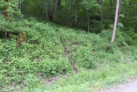 390 Big Sycamore Road Webster Springs WV 26288