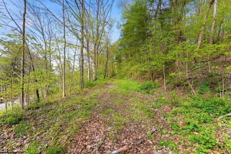 0 Country Lane Bruceton Mills WV 26525
