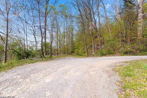 0 Country Lane Bruceton Mills WV 26525