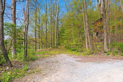 0 Country Lane Bruceton Mills WV 26525