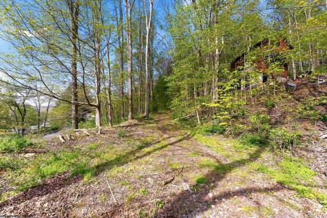 0 Country Lane Bruceton Mills WV 26525