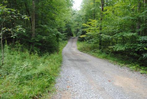TBD Crusader Drive Huttonsville WV 26273