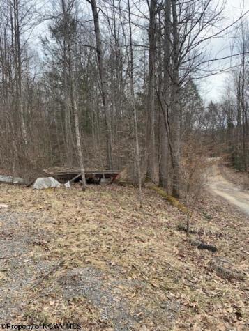 0 Crusader Drive Huttonsville WV 26273