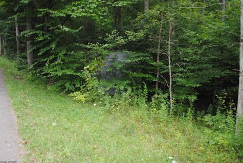 0 Crusader Drive Huttonsville WV 26273