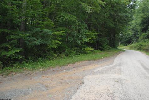 0 Crusader Drive Huttonsville WV 26273