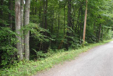 0 Crusader Drive Huttonsville WV 26273