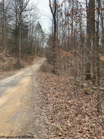 0 Crusader Drive Huttonsville WV 26273