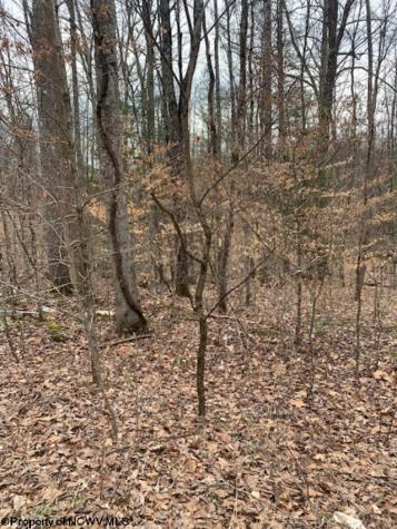 TBD Crusader Drive Huttonsville WV 26273