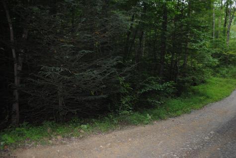 0 Crusader Drive Huttonsville WV 26273