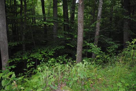 0 Crusader Drive Huttonsville WV 26273