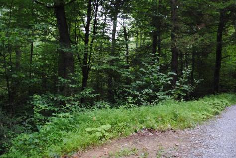 0 Crusader Drive Huttonsville WV 26273