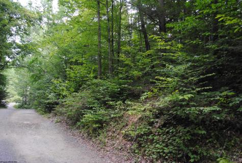 0 Crusader Drive Huttonsville WV 26273