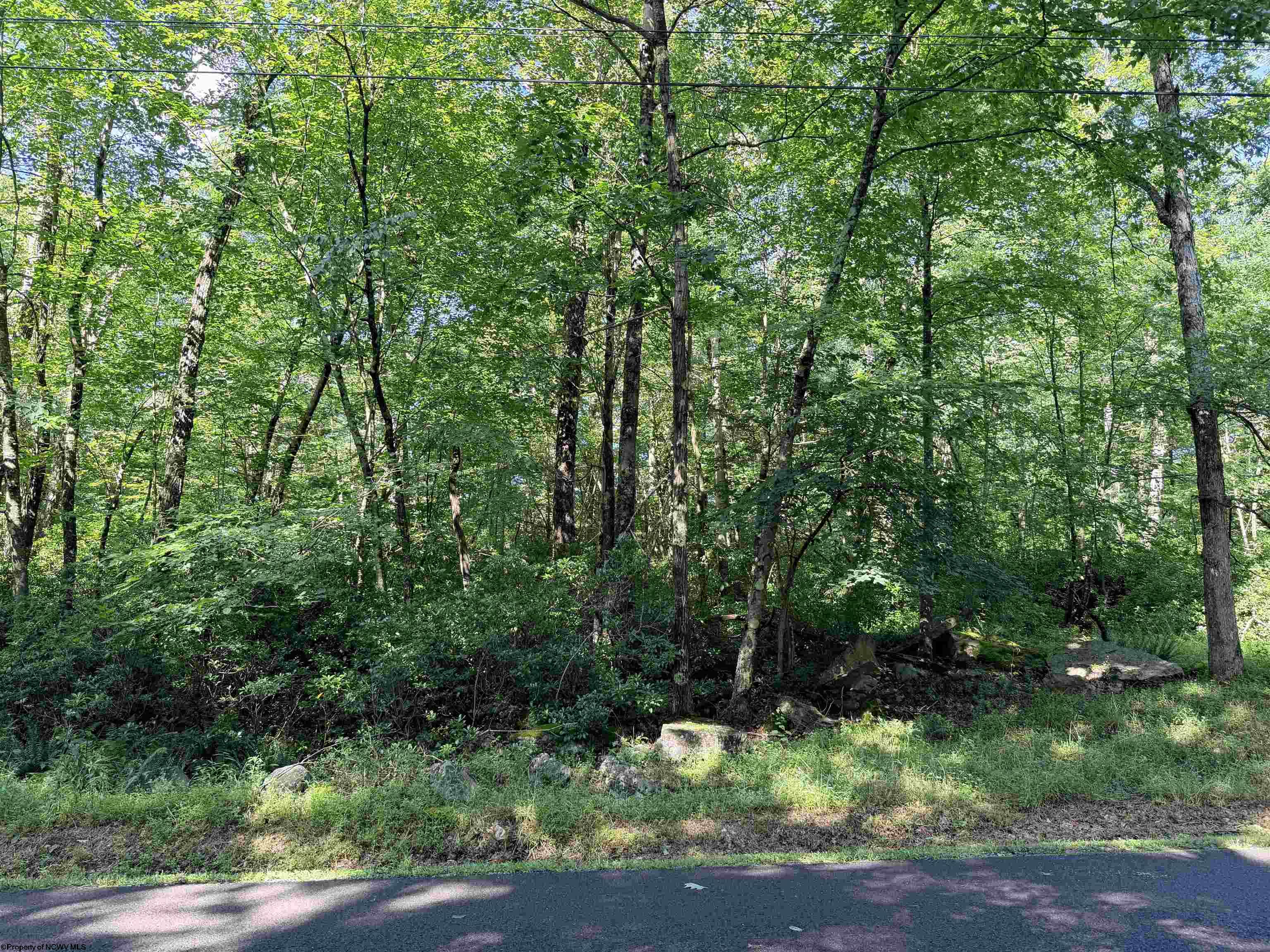 123 Redwood Drive Terra Alta WV 26764