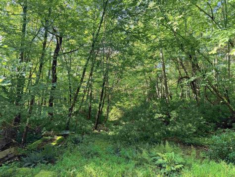 123 Redwood Drive Terra Alta WV 26764