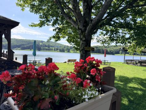 123 Redwood Drive Terra Alta WV 26764