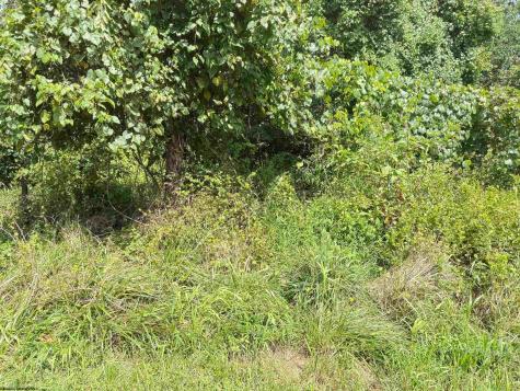 0 Henderson Avenue Clarksburg WV 26301