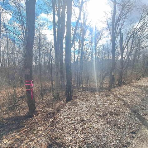 TBD Glade Run Road Albright WV 26519