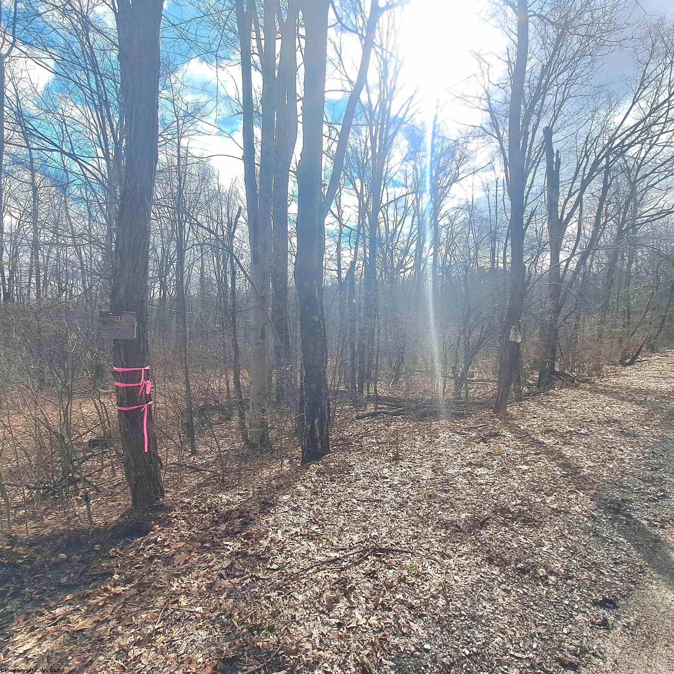0 Glade Run Road Albright WV 26519