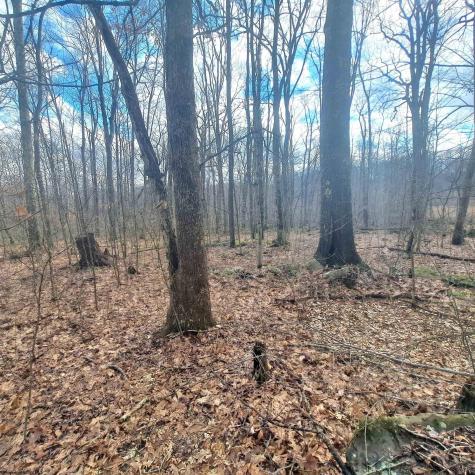 0 Glade Run Road Albright WV 26519