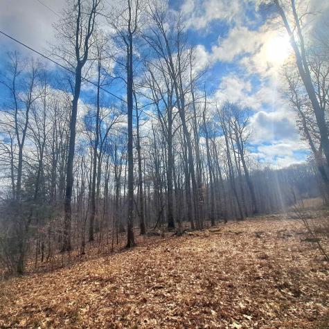 0 Glade Run Road Albright WV 26519