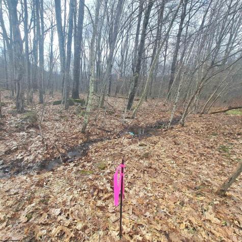 0 Glade Run Road Albright WV 26519