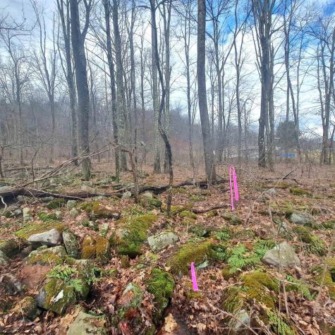 0 Glade Run Road Albright WV 26519
