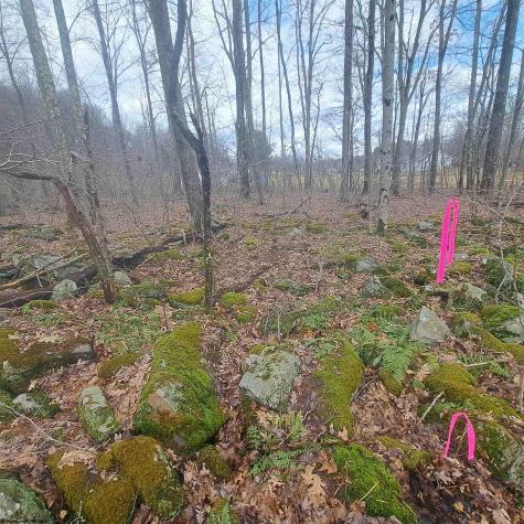 0 Glade Run Road Albright WV 26519